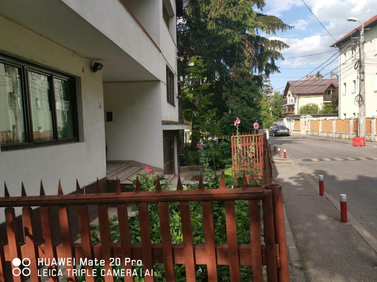 Enjoy Hostel Kolozsvár Kültér fotó